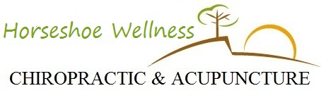 Horseshoe Wellness Chiropractic & Acupuncture <br /><br />Call: 705-220-4996